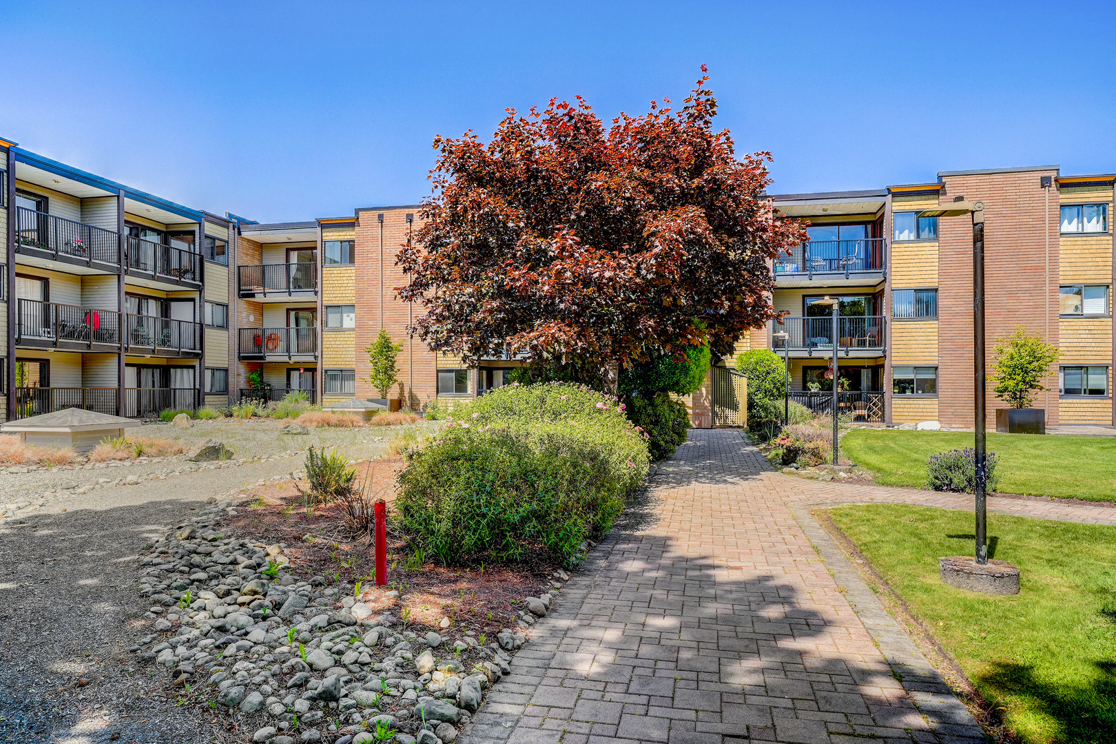University Park Terrace condo building, in Lambrick Park, Victoria BC
